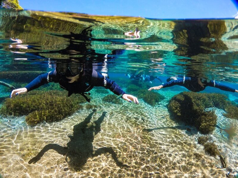 Rio Sucuri – Bonito: Rio mais Cristalino do Brasil