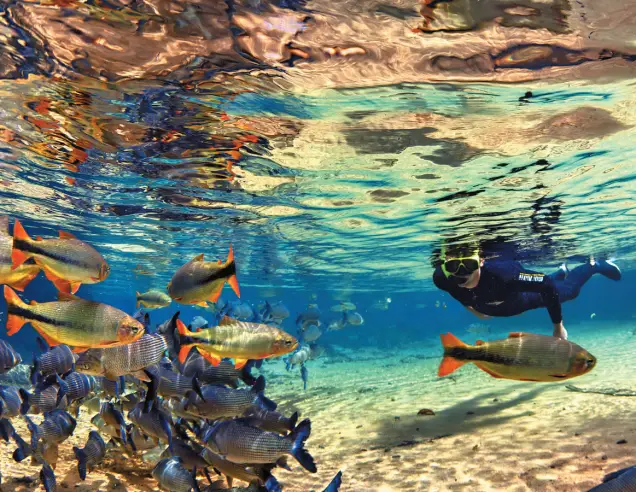 BONITO - Mato Grosso do Sul