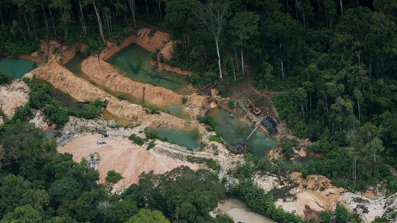 Como acabar com o garimpo ilegal na Amazônia?
