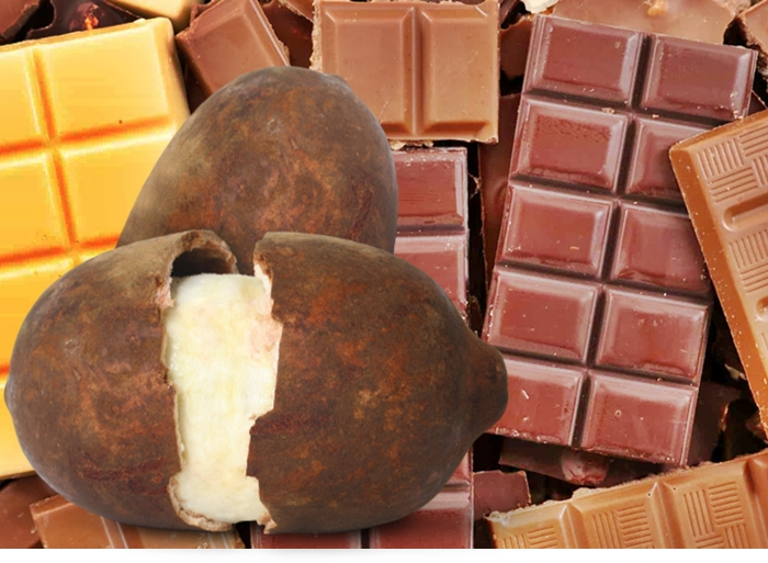 Chocolate de Cupuaçu: uma delícia legitimamente brasileira!