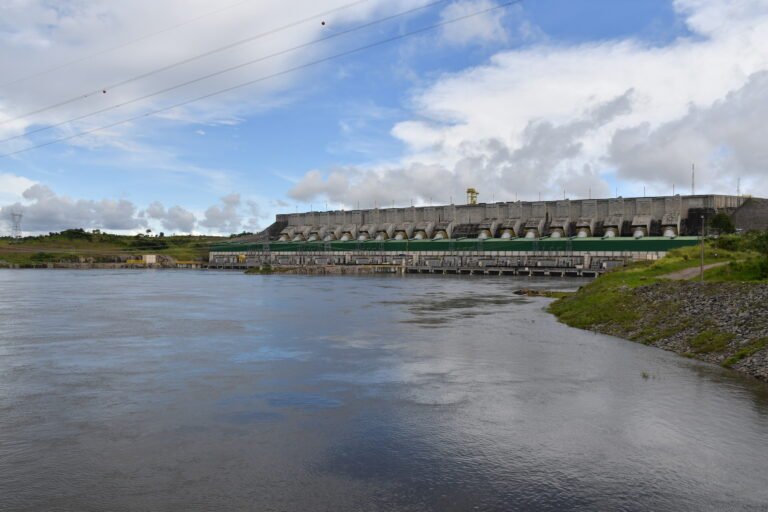 Belo Monte matou os peixes do Rio Xingu