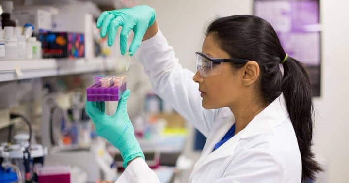 Leis da Natureza deixam cientistas perplexos