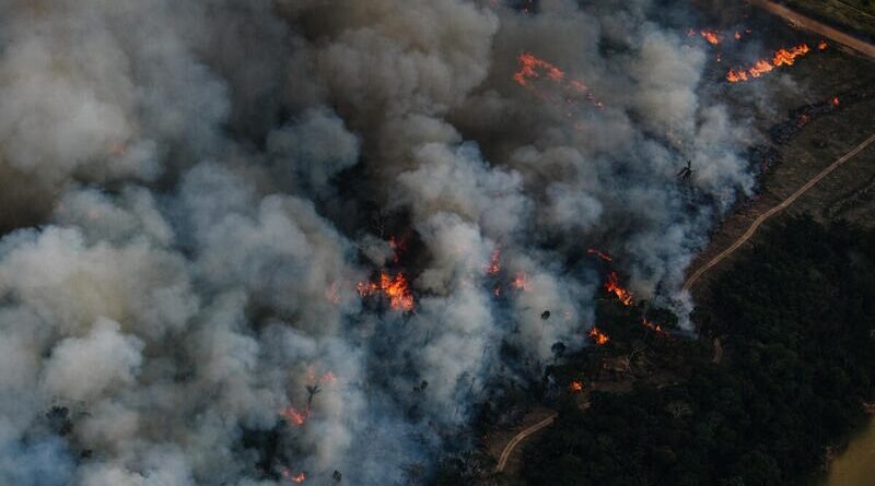 O equivalente a quase mil campos de futebol foi desmatado na Amazônia, por dia, nos três primeiros meses de 2023