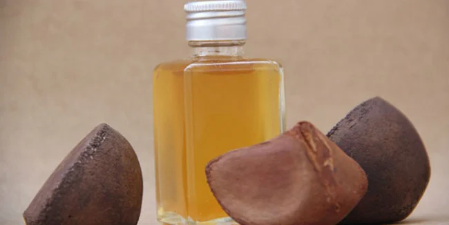 Óleo de Andiroba é um poderoso anti-inflamatório usado há anos pela medicina popular