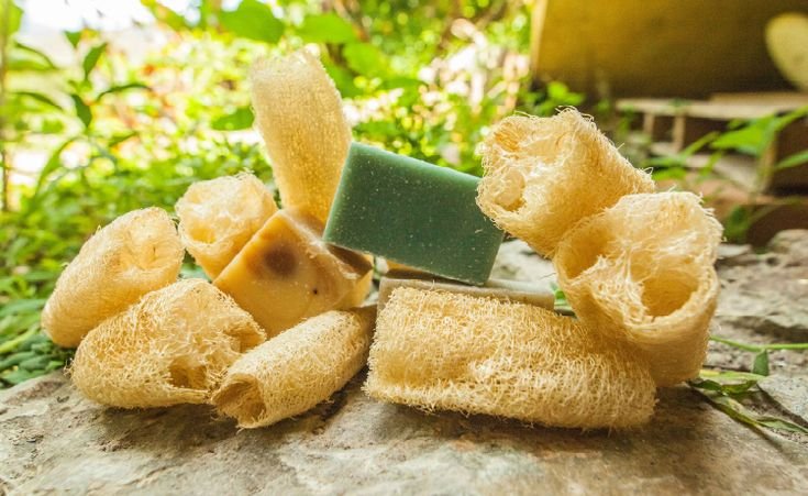 Descubra o incrível poder das buchas vegetais que você jamais imaginou