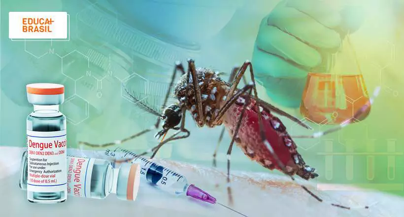 Brasil irá distribuir vacina contra a dengue em 2024