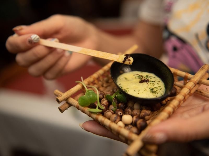 Manaus: Uma Viagem pelos Sabores Amazônicos