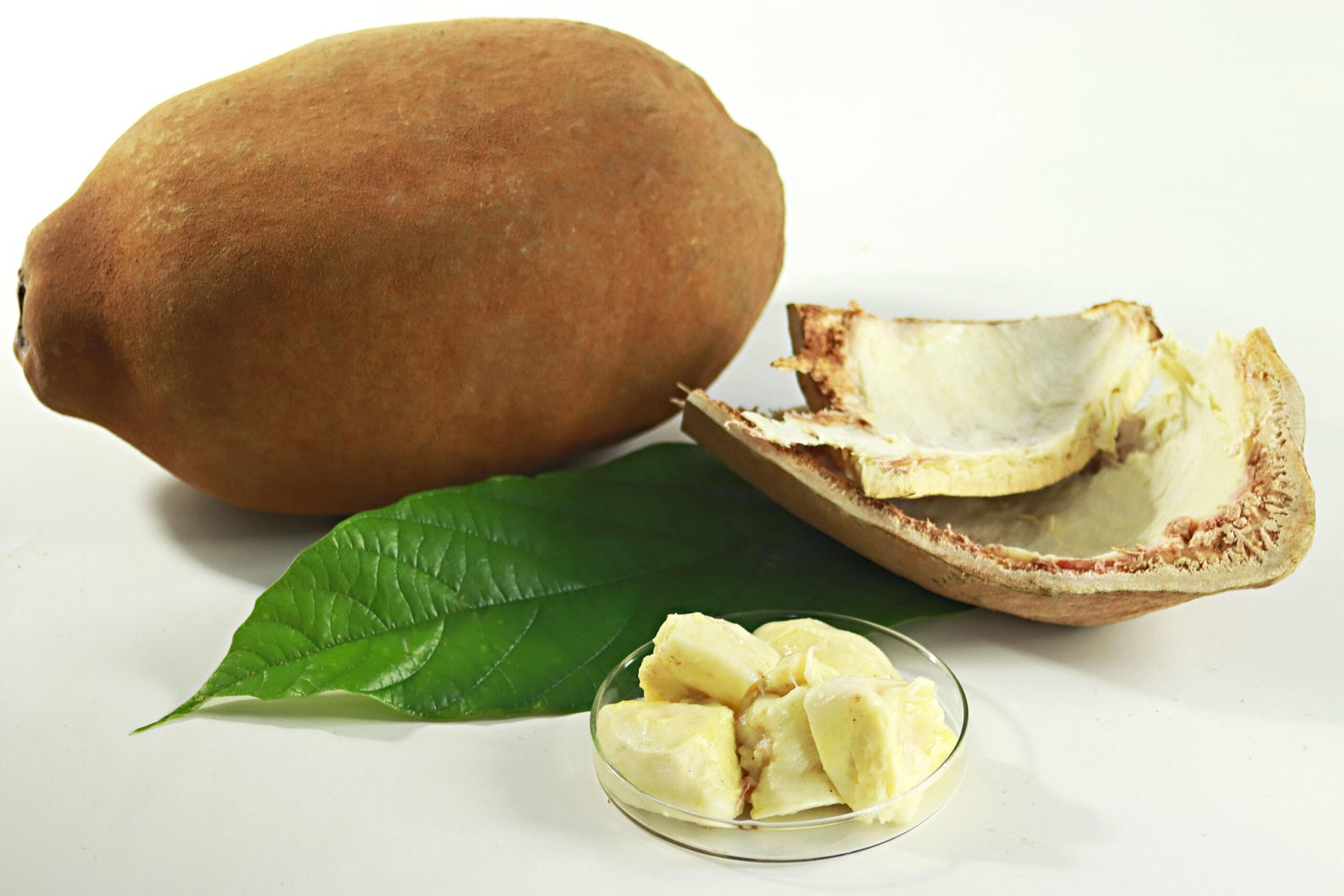 Sobras de cupuaçu e cacau podem virar tecido orgânico