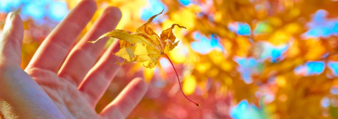 Quanto Vale Viver Mais 1 Ano?