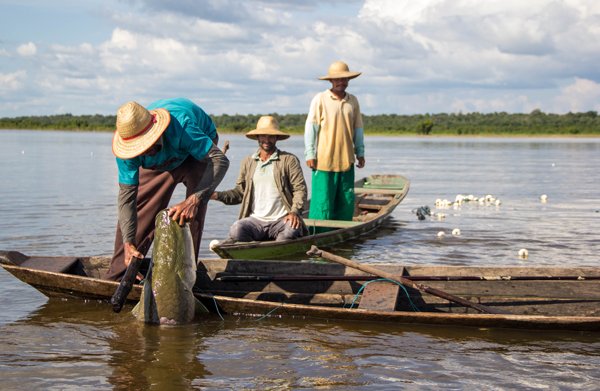 Salve os Caboclos - Salve a Amazônia