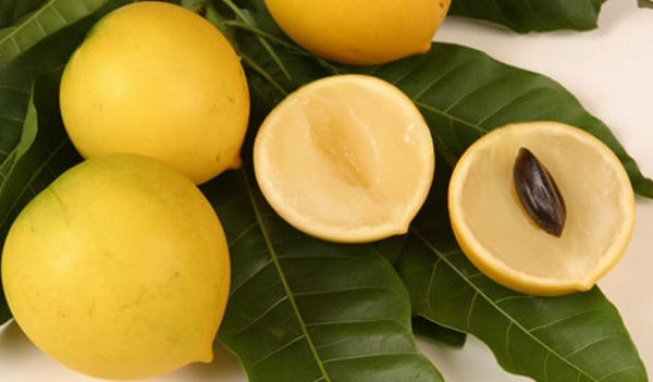 Bacuri: Uma Fruta Amazônica Rica em Benefícios