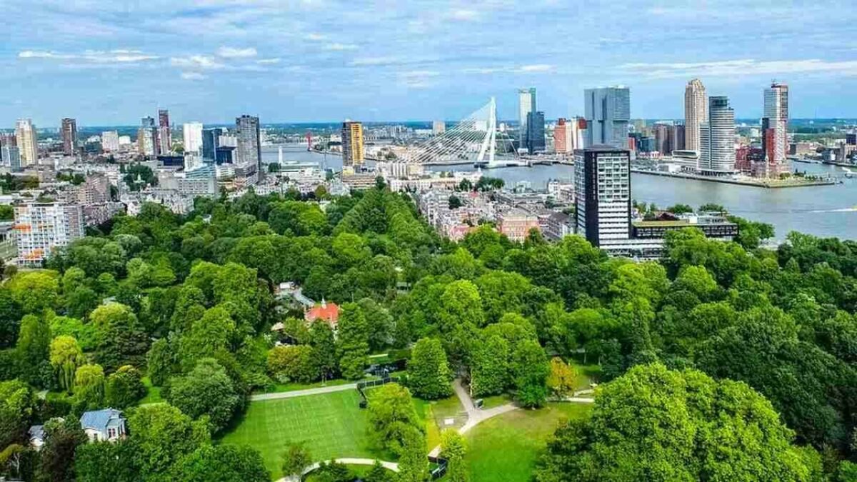 🌿 Fama Amazônica: Por uma Nova Lógica Urbana na Amazônia