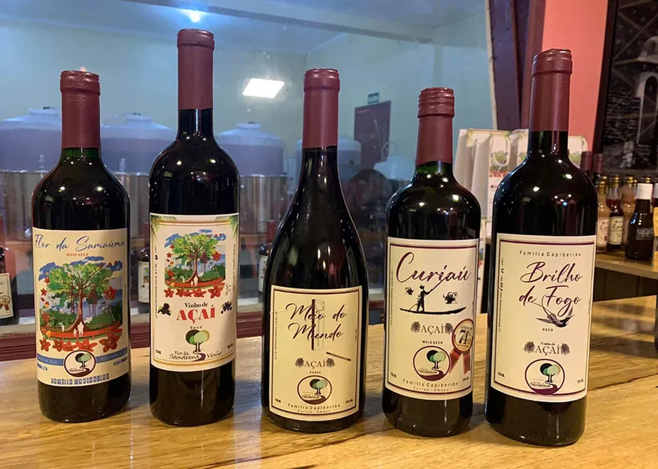 Fama Amazônica apresenta: o vinho de açaí