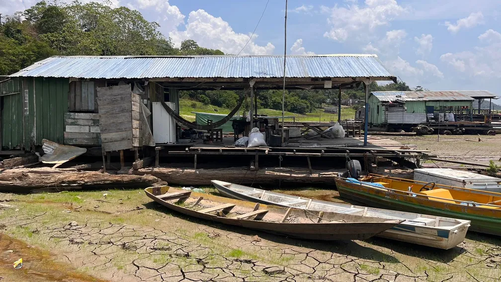 A Fome Invisível do Amazonas: a abundância que não alimenta