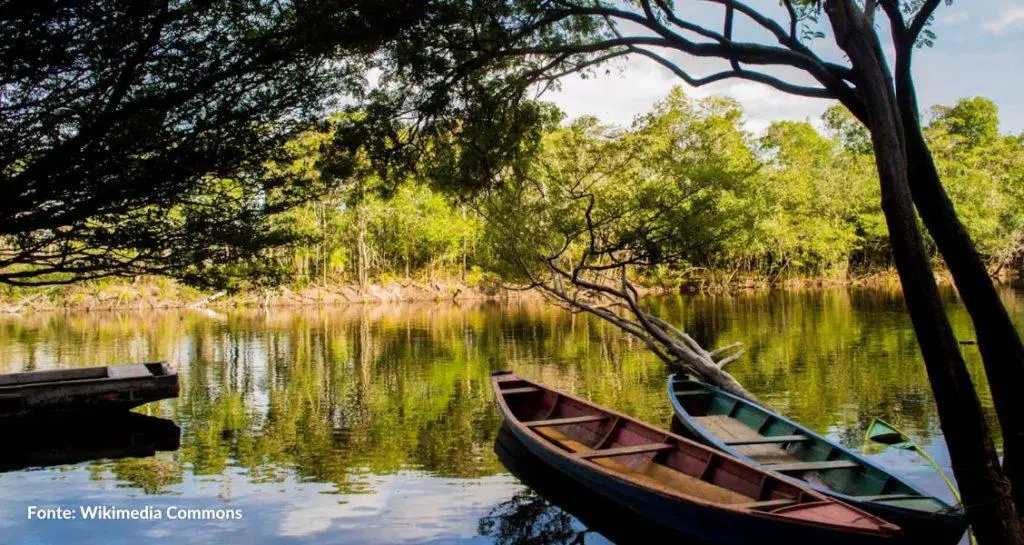 Fama Amazônica destaca o ecoturismo na Amazônia: você vai se surpreender!