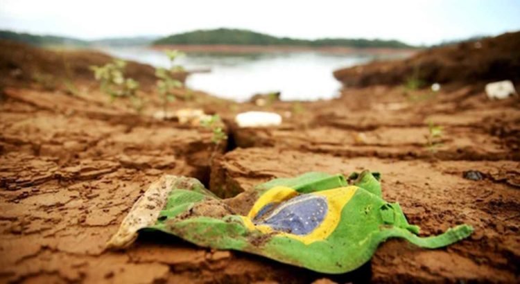 A COP30 e a Verdade que o Brasil Insiste em Não Enxergar