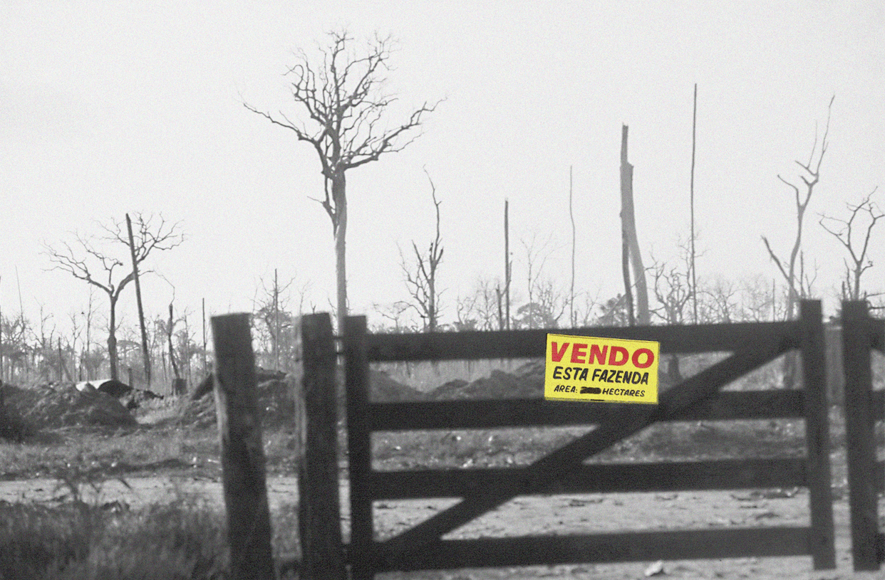 O FUTURO ESTÁ SENDO NEGOCIADO — E A FLORESTA ESTÁ VIGIANDO