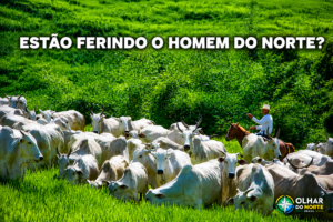 ESTÃO FERINDO O HOMEM DO NORTE
