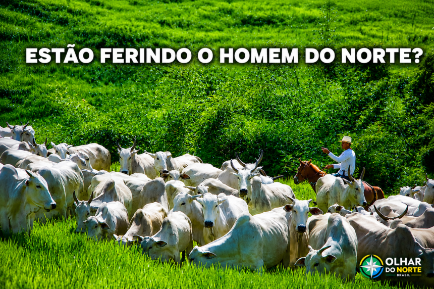 ESTÃO FERINDO O HOMEM DO NORTE