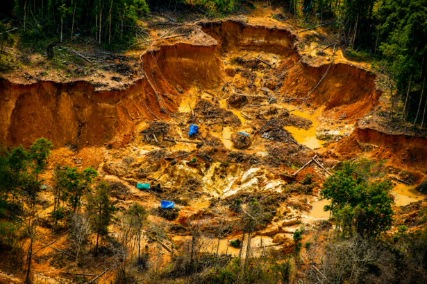 Amazônia: a terra onde a ilegalidade ainda desafia o Estado