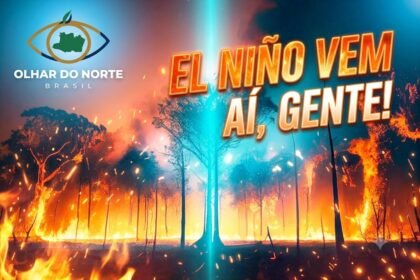 El Niño vem aí? A Amazônia entra novamente em estado de alerta