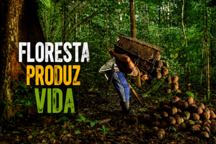 A Floresta Produz Aquilo que o Mundo Mais Procura