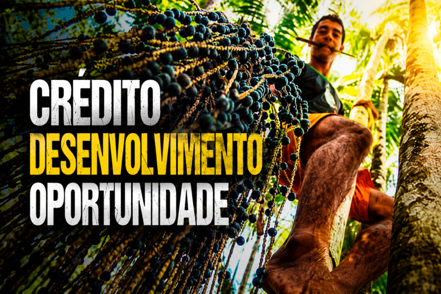 Banco da Amazônia: chegou a hora de liderar um pacto pela equidade das oportunidades na Amazônia