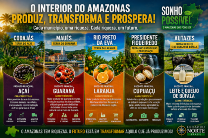 SONHO POSSÍVEL: POR QUE O INTERIOR DO AMAZONAS NÃO PODE INDUSTRIALIZAR O QUE JÁ PRODUZ?