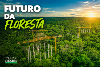 Amazônia em Transformação: o futuro já começou na maior floresta tropical do planeta