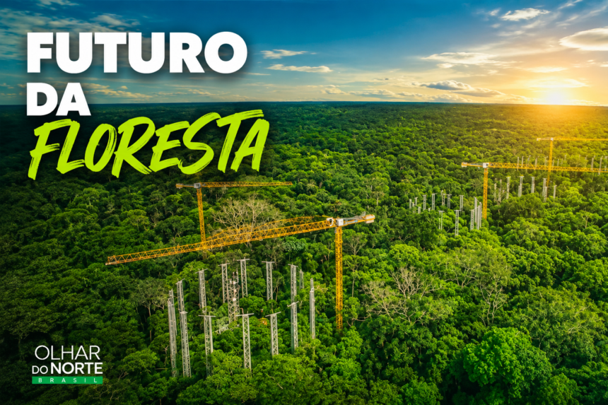 Amazônia em Transformação: o futuro já começou na maior floresta tropical do planeta